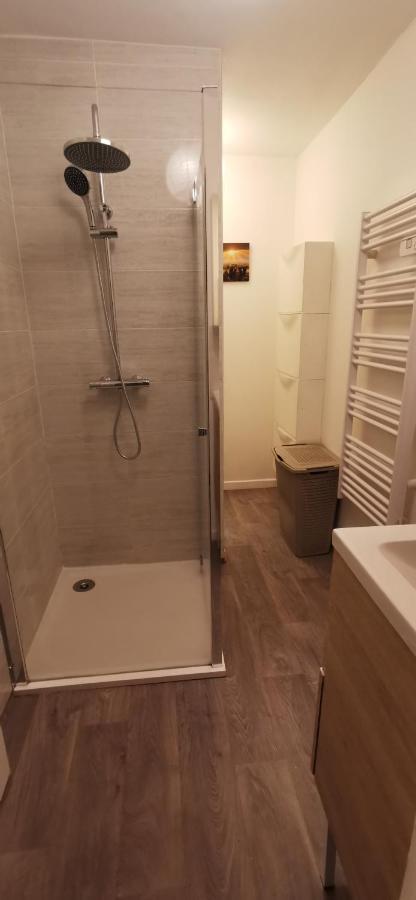 Appartement Cosy Proche Du Centre Ville De Macon H ภายนอก รูปภาพ